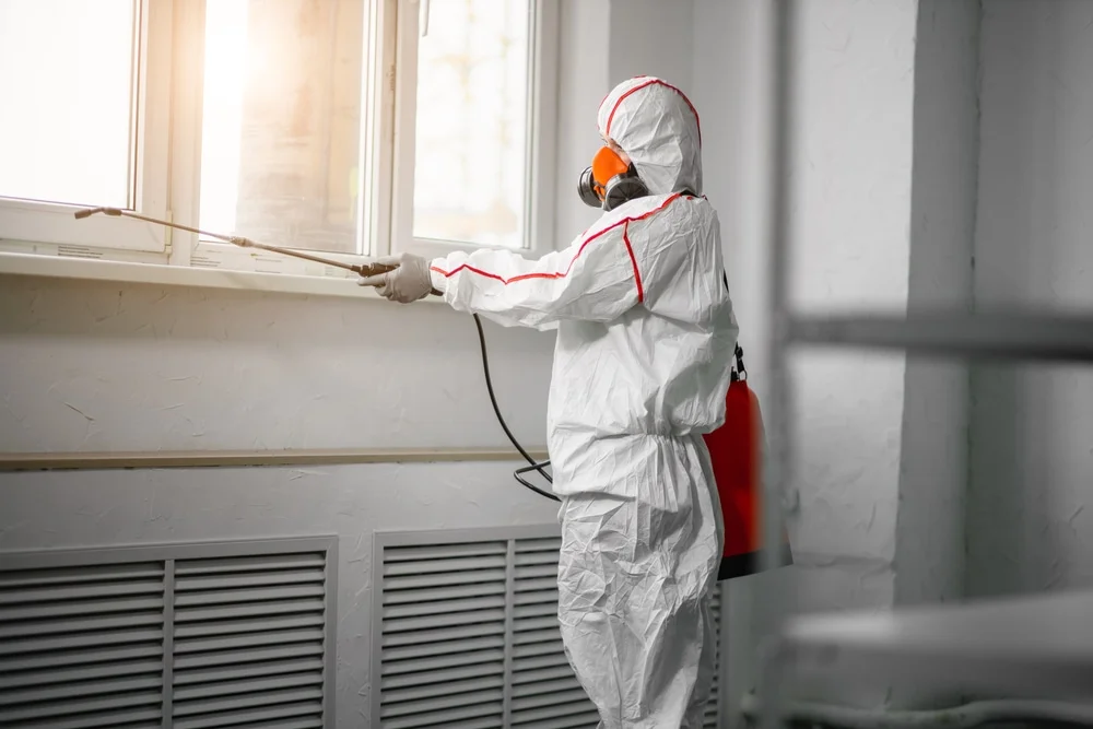 Professional mold remediation services in Miamitown, OH